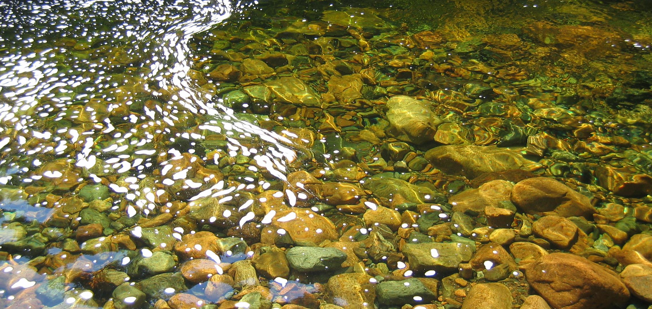 Камни вода рыбы. Река Репруа. Речное дно. Чистая река. Вода река.